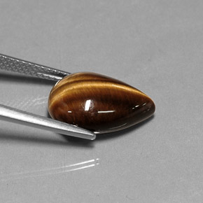 Tiger's eye marron naturelle en forme de poire, 5,27 ct, opaque