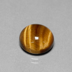 Tiger's eye marron naturelle coupe roude, 6,69 ct, opaque