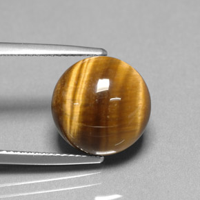 Tiger's eye marron naturelle coupe roude, 6,69 ct, opaque