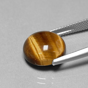 Tiger's eye marron naturelle coupe roude, 6,69 ct, opaque