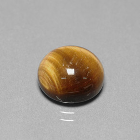 Oeil de Tigre Or Brun naturelle Coupe roude, 6.68 ct, Opaque