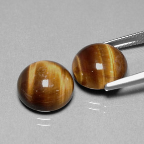 Achetez naturel ct marron tiger's eye gems, coupe roude, en provenance thaïlande chez gemselect. en stock, livraison internationale!