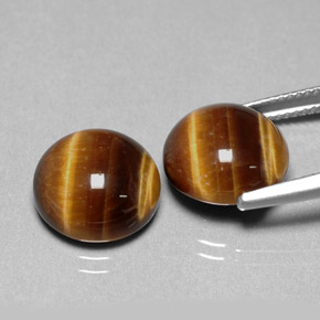 Achetez naturel ct marron tiger's eye gems, coupe roude, en provenance thaïlande chez gemselect. en stock, livraison internationale!