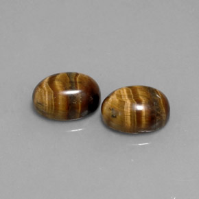 Achetez naturel ct marron tiger's eye gems, coupe ovale, en provenance thaïlande chez gemselect. en stock, livraison internationale!