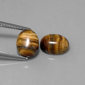 Achetez naturel ct marron tiger's eye gems, coupe ovale, en provenance thaïlande chez gemselect. en stock, livraison internationale!