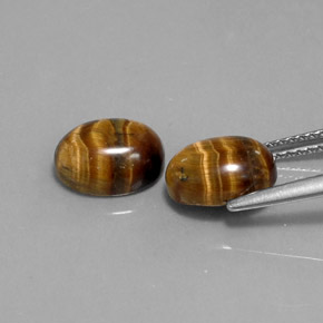 Achetez naturel ct marron tiger's eye gems, coupe ovale, en provenance thaïlande chez gemselect. en stock, livraison internationale!