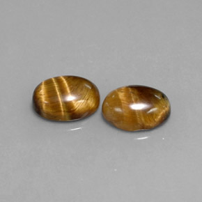 Achetez naturel ct marron tiger's eye gems, coupe ovale, en provenance thaïlande chez gemselect. en stock, livraison internationale!