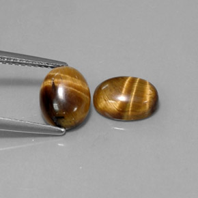 Achetez naturel ct marron tiger's eye gems, coupe ovale, en provenance thaïlande chez gemselect. en stock, livraison internationale!
