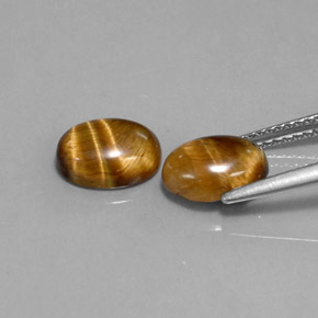 Achetez naturel ct marron tiger's eye gems, coupe ovale, en provenance thaïlande chez gemselect. en stock, livraison internationale!