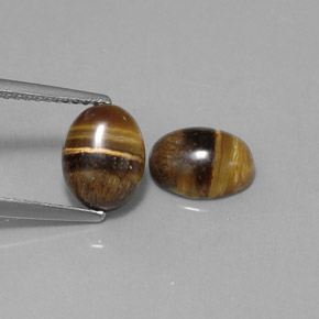 Achetez naturel ct marron tiger's eye gems, coupe ovale, en provenance thaïlande chez gemselect. en stock, livraison internationale!