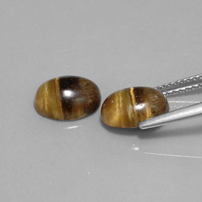 Achetez naturel ct marron tiger's eye gems, coupe ovale, en provenance thaïlande chez gemselect. en stock, livraison internationale!