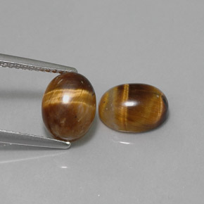 Achetez naturel ct marron tiger's eye gems, coupe ovale, en provenance thaïlande chez gemselect. en stock, livraison internationale!