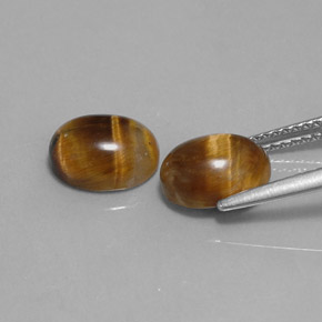 Achetez naturel ct marron tiger's eye gems, coupe ovale, en provenance thaïlande chez gemselect. en stock, livraison internationale!