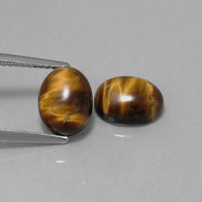 Achetez naturel ct marron tiger's eye gems, coupe ovale, en provenance thaïlande chez gemselect. en stock, livraison internationale!