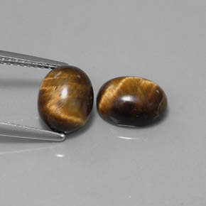 Achetez naturel ct marron tiger's eye gems, coupe ovale, en provenance thaïlande chez gemselect. en stock, livraison internationale!