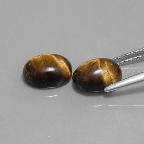 Achetez naturel ct marron tiger's eye gems, coupe ovale, en provenance thaïlande chez gemselect. en stock, livraison internationale!
