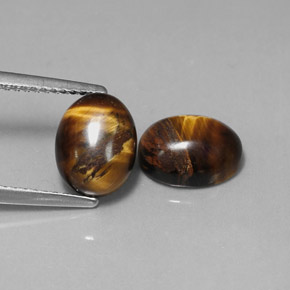 Achetez naturel ct marron tiger's eye gems, coupe ovale, en provenance thaïlande chez gemselect. en stock, livraison internationale!