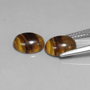 Achetez naturel ct marron tiger's eye gems, coupe ovale, en provenance thaïlande chez gemselect. en stock, livraison internationale!