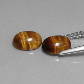 Achetez naturel ct marron tiger's eye gems, coupe ovale, en provenance thaïlande chez gemselect. en stock, livraison internationale!