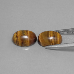 Achetez naturel ct marron tiger's eye gems, coupe ovale, en provenance thaïlande chez gemselect. en stock, livraison internationale!