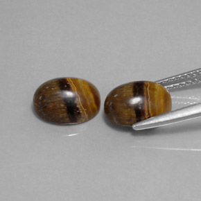 Achetez naturel ct marron tiger's eye gems, coupe ovale, en provenance thaïlande chez gemselect. en stock, livraison internationale!