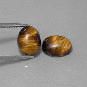 Achetez naturel ct marron tiger's eye gems, coupe ovale, en provenance thaïlande chez gemselect. en stock, livraison internationale!