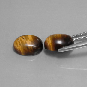 Achetez naturel ct marron tiger's eye gems, coupe ovale, en provenance thaïlande chez gemselect. en stock, livraison internationale!