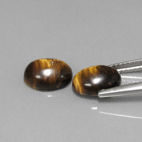 Achetez naturel ct marron tiger's eye gems, coupe ovale, en provenance thaïlande chez gemselect. en stock, livraison internationale!
