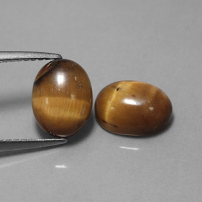Achetez naturel ct marron tiger's eye gems, coupe ovale, en provenance thaïlande chez gemselect. en stock, livraison internationale!