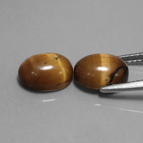 Achetez naturel ct marron tiger's eye gems, coupe ovale, en provenance thaïlande chez gemselect. en stock, livraison internationale!