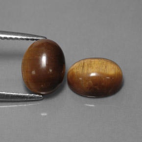 Achetez naturel ct marron tiger's eye gems, coupe ovale, en provenance thaïlande chez gemselect. en stock, livraison internationale!