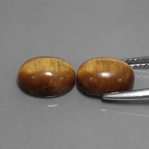 Achetez naturel ct marron tiger's eye gems, coupe ovale, en provenance thaïlande chez gemselect. en stock, livraison internationale!
