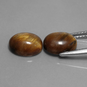 Achetez naturel ct marron tiger's eye gems, coupe ovale, en provenance thaïlande chez gemselect. en stock, livraison internationale!