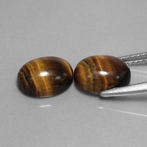 Achetez naturel ct Or Brun Oeil de Tigre gems, Coupe ovale, En provenance Thaïlande chez GemSelect. En stock, livraison internationale!
