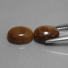 Achetez naturel ct marron tiger's eye gems, coupe ovale, en provenance thaïlande chez gemselect. en stock, livraison internationale!