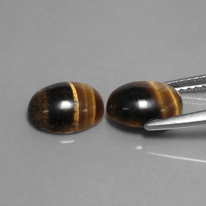 Achetez naturel ct marron tiger's eye gems, coupe ovale, en provenance thaïlande chez gemselect. en stock, livraison internationale!