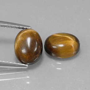 Achetez naturel ct marron tiger's eye gems, coupe ovale, en provenance namibie chez gemselect. en stock, livraison internationale!