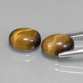 Achetez naturel ct marron tiger's eye gems, coupe ovale, en provenance namibie chez gemselect. en stock, livraison internationale!