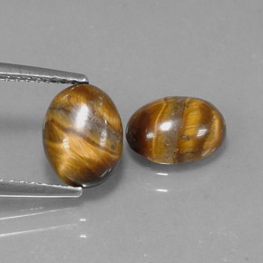 Achetez naturel ct marron tiger's eye gems, coupe ovale, en provenance namibie chez gemselect. en stock, livraison internationale!