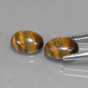 Achetez naturel ct marron tiger's eye gems, coupe ovale, en provenance namibie chez gemselect. en stock, livraison internationale!