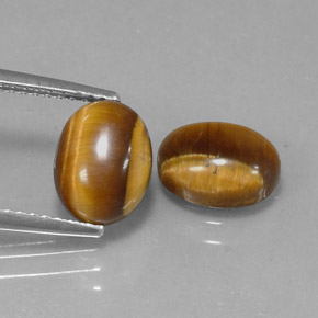 Achetez naturel ct marron tiger's eye gems, coupe ovale, en provenance namibie chez gemselect. en stock, livraison internationale!