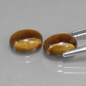 Achetez naturel ct marron tiger's eye gems, coupe ovale, en provenance namibie chez gemselect. en stock, livraison internationale!
