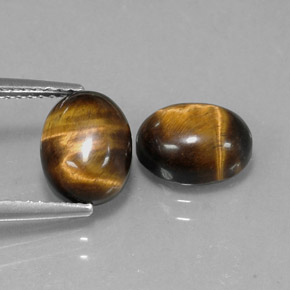 Achetez naturel ct marron tiger's eye gems, coupe ovale, en provenance namibie chez gemselect. en stock, livraison internationale!