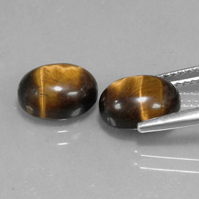 Achetez naturel ct marron tiger's eye gems, coupe ovale, en provenance namibie chez gemselect. en stock, livraison internationale!