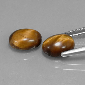Tiger's eye marron naturelle coupe ovale, 1,59 ct, opaque