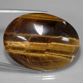 Tiger's eye marron naturelle coupe ovale, 73,05 ct, opaque