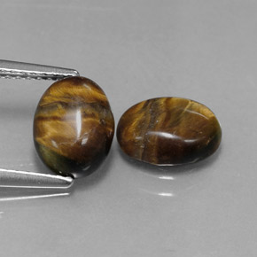 Achetez naturel ct marron tiger's eye gems, coupe ovale, en provenance thaïlande chez gemselect. en stock, livraison internationale!