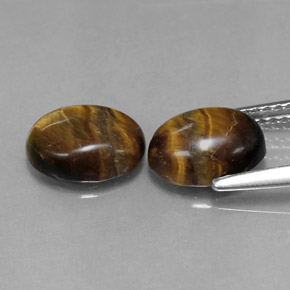 Achetez naturel ct marron tiger's eye gems, coupe ovale, en provenance thaïlande chez gemselect. en stock, livraison internationale!