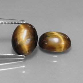 Achetez naturel ct marron tiger's eye gems, coupe ovale, en provenance thaïlande chez gemselect. en stock, livraison internationale!
