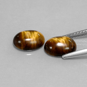 Achetez naturel ct marron tiger's eye gems, coupe ovale, en provenance thaïlande chez gemselect. en stock, livraison internationale!